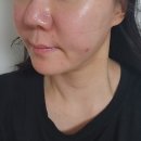 퍼스트업 | 발효유산균세럼 리리엘 비피다 퍼스트 톤업 화이트진정 관리 후기