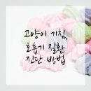 서울동물병원 이미지