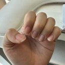 컬러연 | [대전둔산동네일]네일연이프에 가다!(젤네일 원컬러 후기)