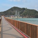 예향의 숲 이미지