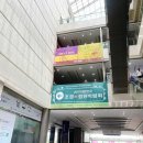 [전시] 2019 코엑스 조경 정원박람회 후기