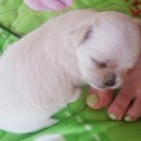 놀아줘PC 이미지