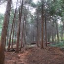 대야면 주민센터 이미지