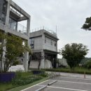 파주 캠크닉 215카페캠핑장 서울인근 당일치기 캠핑 추천! 🏕️
