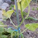 새벽에본문자 이미지