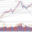 무림S&P 이미지
