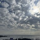 구김스테이 | 제주 구좌 감성 숙소 추천 구김스테이 내돈내산