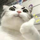 잘잘한의원 이미지