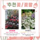 서울한영대학교 이미지