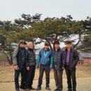 화개초교 이미지