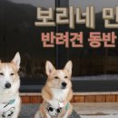 리더스 외과 동물병원 이미지