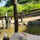 좌구산 오토캠핑장 | 충북 증평군 좌구산 오토캠핑장