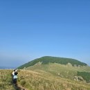 맑은내일주 | [공지] ​[사주/여행] 굴업도 1박 2일, 세 친구의 일주로 분석한 여행 타이밍