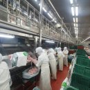 농업회사법인(주)다솔 이미지