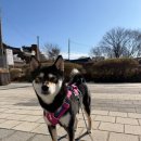 다산생태공원[능내-1] | 문화유산 드라이브 코스 추천 정약용유적지·다산생태공원 데이트 | 역사체험·무료관람·반려견동반·주차