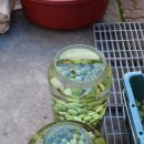 (주)성우식품 이미지