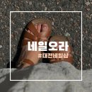 오라네일 | 대전문화동네일 네일오라 손젤, 발젤 자석젤 잘하는 곳 내돈내산후기