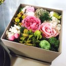 프리저브드 플라워 이미지