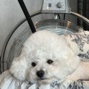 핑크짐 동탄역점 이미지