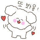 디스크독연구소 이미지