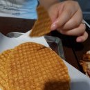 동이비어 이미지