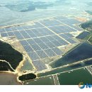 대사일 태양광발전소 이미지