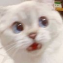 어깨 조지러 갔다가~ 담적치료하고 오지요~ (광주남구한의원 담적치료 자세교정 마디튼튼담적한의원)