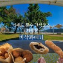 김천시 자산동주민센터(1층) | 거제 지세포 맛집 | 바삭꽈배기 n차 재방문, 세 가지 맛 솔직후기