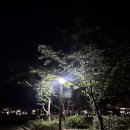 역전당구장 | 2025년 8월 둘째 주/일상 포스팅 다시 시작! | 남편과의 첫 청도 여행 💚