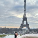 W미술관 | 신혼여행 : 트로카데로 광장 파코 후기 카모엔다리 오르세미술관 루브르 야경 Brasserie du Louvre 맛집...