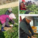 순이네농장 이미지