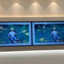 아이숲안과의원 이미지