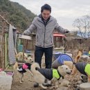 전씨농장 이미지