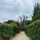 남사리민박 이미지