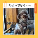카페허니비 - 동두천시 평화로2185번길 7-22 | 익산 애견동반 카페 허니비 키로수 제한 없는 운동장 있는 곳 후기