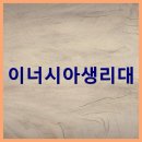 (주)보람씨앤에치 | 이너시아 더 프리즘 유기농 생리대 8팩 4700만장 완판 유기농순면커버 저자극 순면생리대