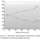 고려헬스클럽 이미지