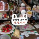 양평칼국수교동점 | [양평] 양평에 모여라 연말파티🔥2025 🔥