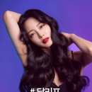 달크림 이미지