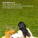 쿠레이션 이미지