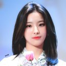 이새롬 카카오 검색결과