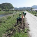 구룡천제방 이미지