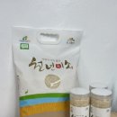 천년의 뜰 이미지
