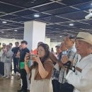 국도1호선 평화미술제 이미지