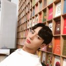 최경훈 카카오 검색결과