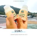 후쿠오카 유후인 버스투어 &#39;유유버스&#39; 관광지 코스 후기