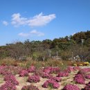 이천농업테마공원 이미지