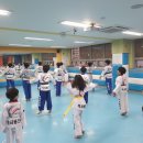 용인대석사체육관 이미지