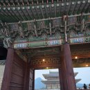 2025 경복궁 야간개장 후기 : 조명이 켜지자 모든 게 바뀌었다