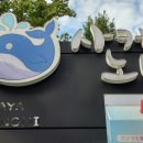 대신시장 이미지